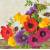 Serwetka decoupage firmy AMBIENTE anemony w rogu 33x33cm